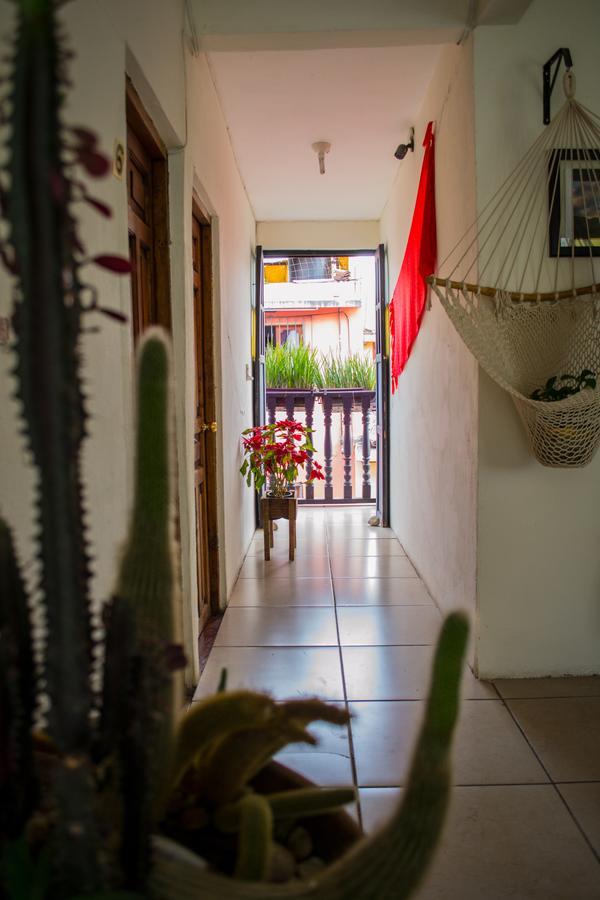 Hotel Casa Mia San Cristobal de las Casas Exterior photo